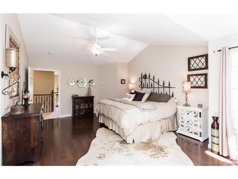 841 Spring Cove Ct, Eureka, MO 63025 photo 34