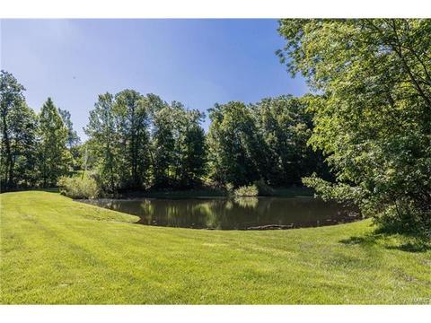 841 Spring Cove Ct, Eureka, MO 63025 photo 65