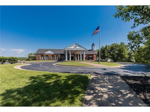 841 Spring Cove Ct, Eureka, MO 63025 photo 73