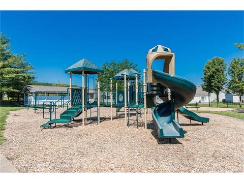 841 Spring Cove Ct, Eureka, MO 63025 photo 68