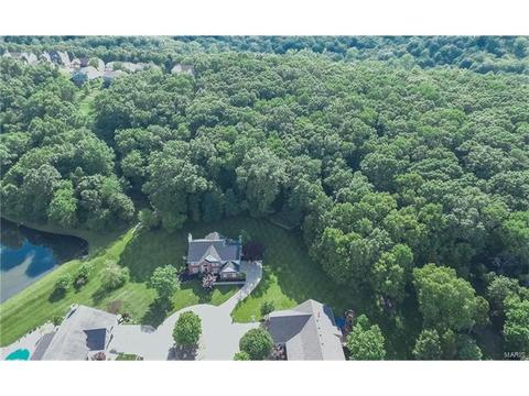 841 Spring Cove Ct, Eureka, MO 63025 photo 81