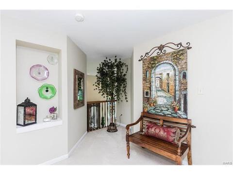 841 Spring Cove Ct, Eureka, MO 63025 photo 32