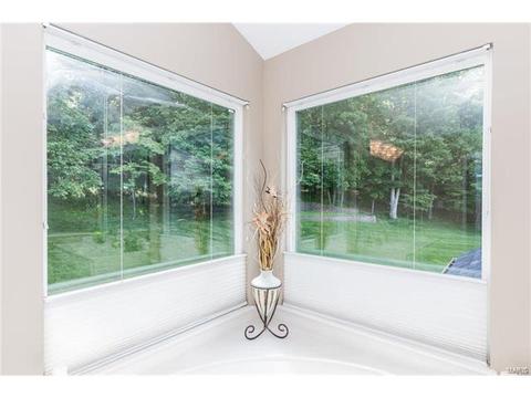 841 Spring Cove Ct, Eureka, MO 63025 photo 39