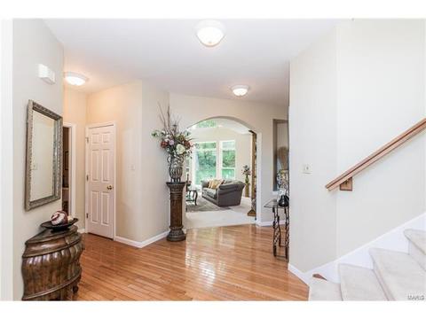 841 Spring Cove Ct, Eureka, MO 63025 photo 14