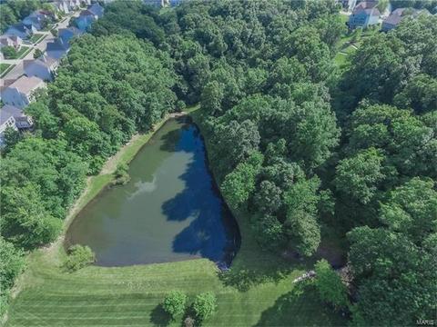 841 Spring Cove Ct, Eureka, MO 63025 photo 76