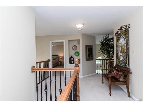 841 Spring Cove Ct, Eureka, MO 63025 photo 31