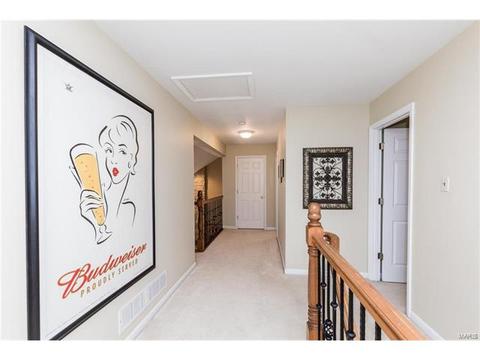 841 Spring Cove Ct, Eureka, MO 63025 photo 41