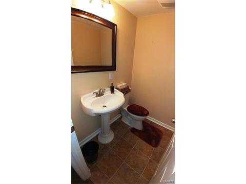 96 Tisbury Ct, O'fallon, MO 63366 photo 19