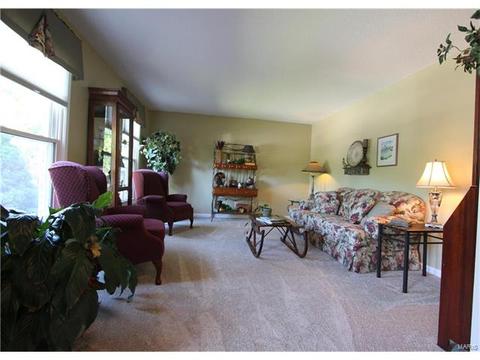 554 Spragues Mill Ct, Ballwin, MO 63011 photo 4