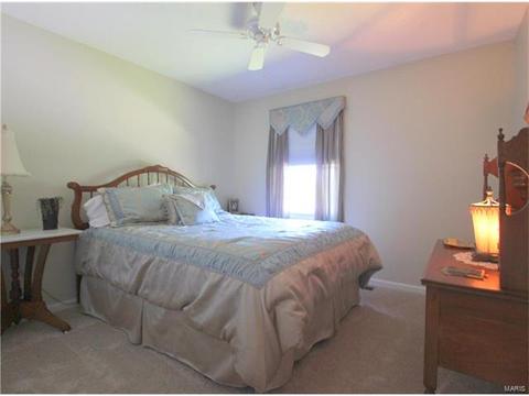 554 Spragues Mill Ct, Ballwin, MO 63011 photo 19