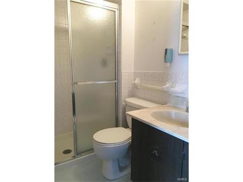 387 Cedar Run Dr, Ballwin, MO 63021 photo 10