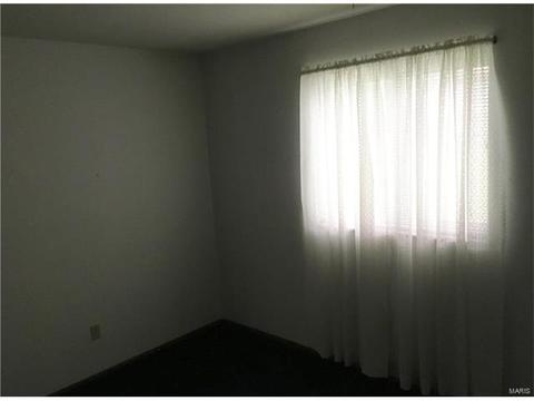 387 Cedar Run Dr, Ballwin, MO 63021 photo 12