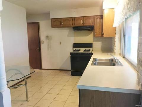 387 Cedar Run Dr, Ballwin, MO 63021 photo 8