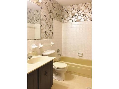387 Cedar Run Dr, Ballwin, MO 63021 photo 9