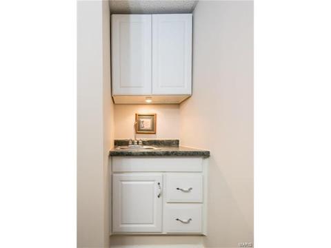 15826 Cedarmill Dr, Chesterfield, MO 63017 photo 31
