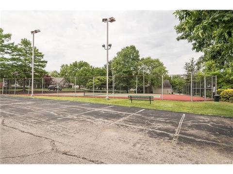 15826 Cedarmill Dr, Chesterfield, MO 63017 photo 49