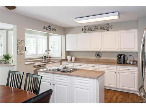 15826 Cedarmill Dr, Chesterfield, MO 63017 photo 15