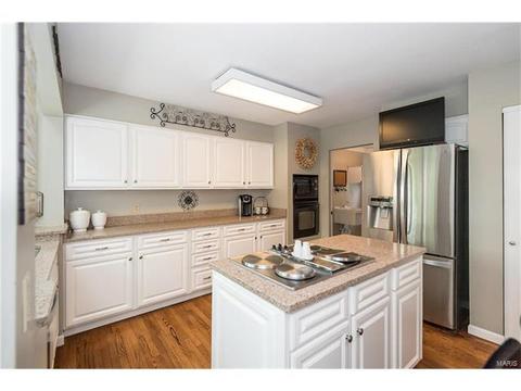 15826 Cedarmill Dr, Chesterfield, MO 63017 photo 19