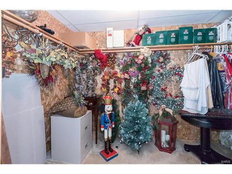 15826 Cedarmill Dr, Chesterfield, MO 63017 photo 35