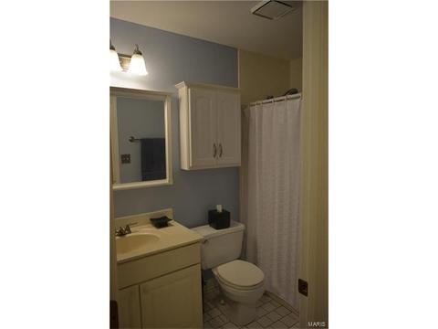 436 Clayheath Ct, Ballwin, MO 63011 photo 31