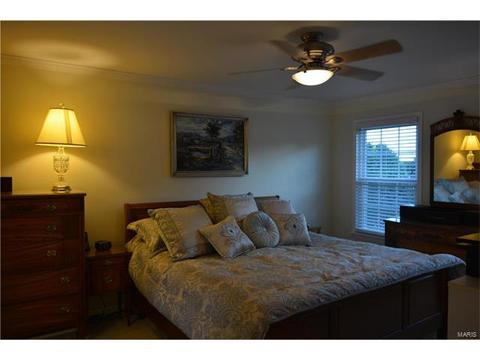 436 Clayheath Ct, Ballwin, MO 63011 photo 25