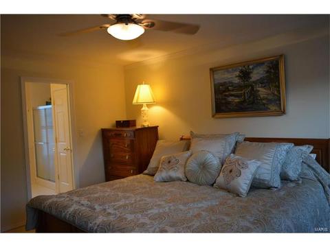 436 Clayheath Ct, Ballwin, MO 63011 photo 24