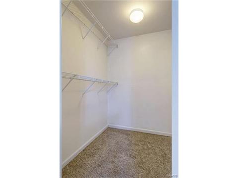 96 Roxbury, O'fallon, MO 63366 photo 17