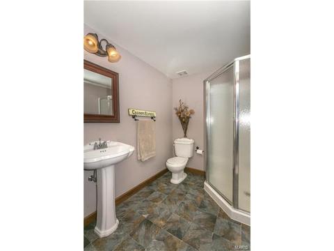 712 Mark Wesley Ln, Ballwin, MO 63021 photo 37