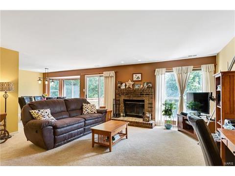 609 Pine Ridge Trails Ct #203, Ballwin, MO 63021 photo 3
