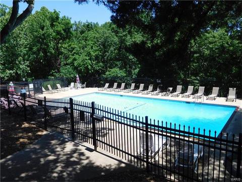 609 Pine Ridge Trails Ct #203, Ballwin, MO 63021 photo 25