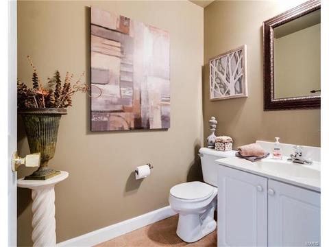 3 Winter Park Ct, O'fallon, MO 63366 photo 19
