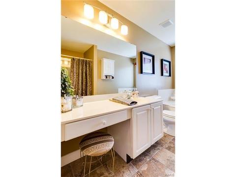 3 Winter Park Ct, O'fallon, MO 63366 photo 26