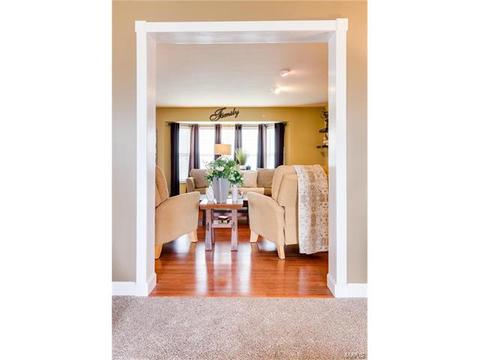3 Winter Park Ct, O'fallon, MO 63366 photo 8