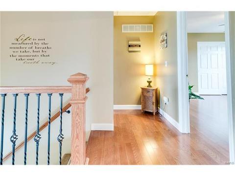 3 Winter Park Ct, O'fallon, MO 63366 photo 20