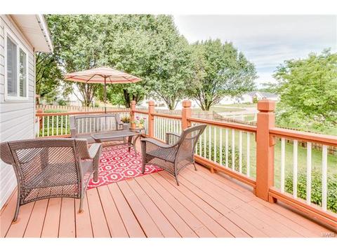 3 Winter Park Ct, O'fallon, MO 63366 photo 44