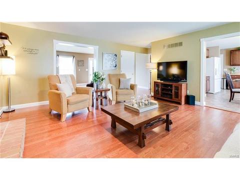 3 Winter Park Ct, O'fallon, MO 63366 photo 11