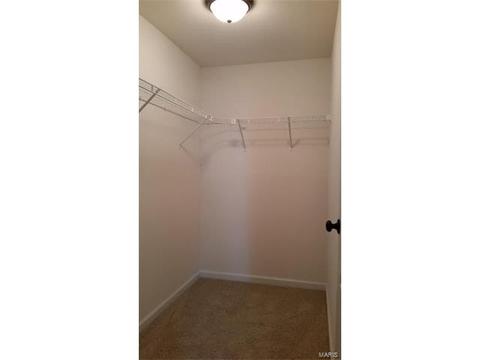 200 Cool Meadows Dr, Ballwin, MO 63011 photo 16