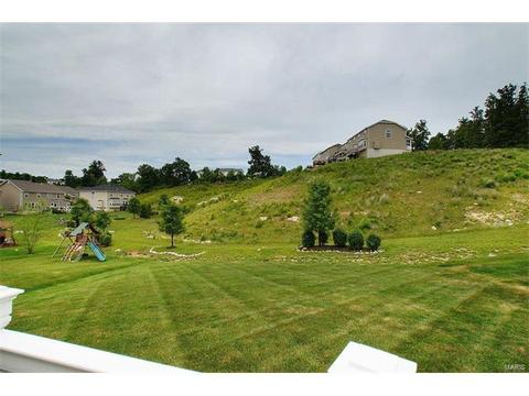 363 Lauren Lndg, Ballwin, MO 63021 photo 29