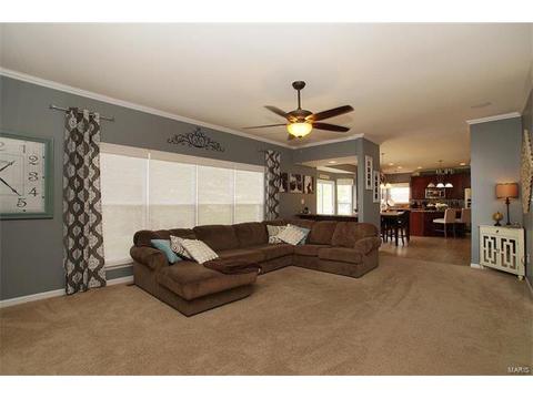 363 Lauren Lndg, Ballwin, MO 63021 photo 10