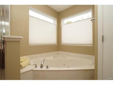 363 Lauren Lndg, Ballwin, MO 63021 photo 21