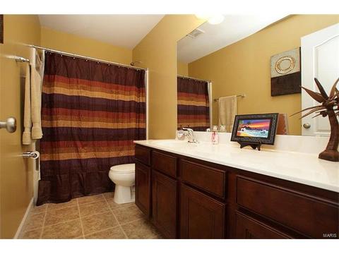 363 Lauren Lndg, Ballwin, MO 63021 photo 20