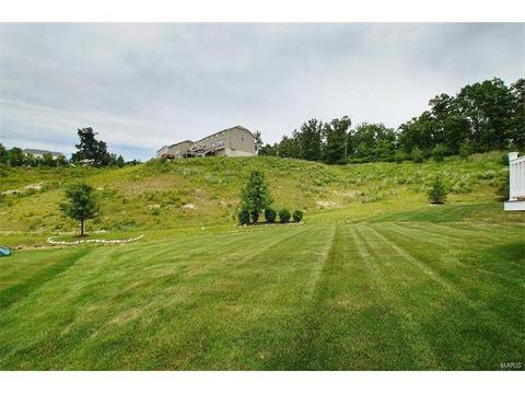 363 Lauren Lndg, Ballwin, MO 63021 photo 31