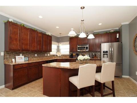 363 Lauren Lndg, Ballwin, MO 63021 photo 12