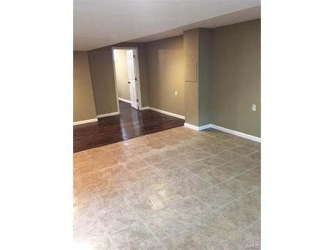 4 Moselle Ct, O'fallon, MO 63368 photo 9