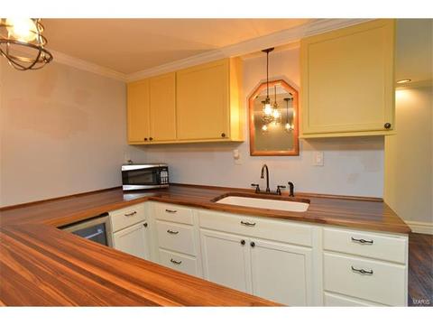 455 Fall River Ln, Saint Charles, MO 63304 photo 20