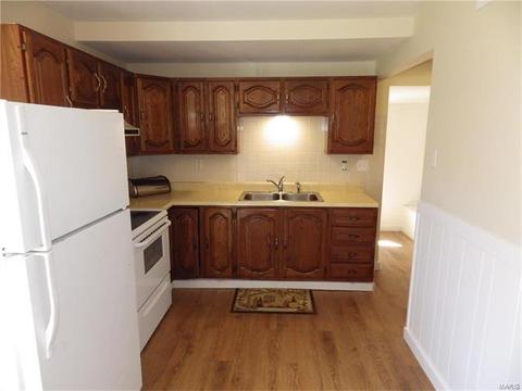 605 Butler Dr, Eureka, MO 63025 photo 15