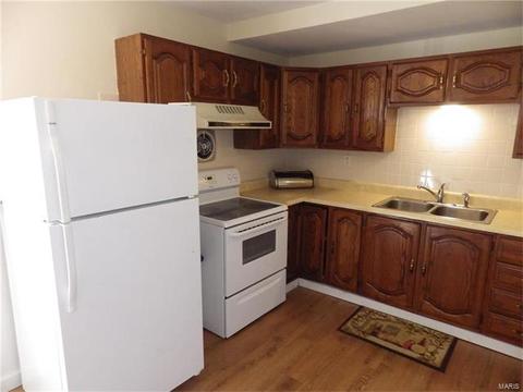 605 Butler Dr, Eureka, MO 63025 photo 17