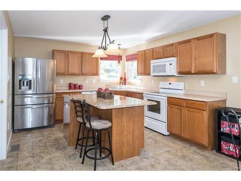 229 Magnolia Trace Dr, Ballwin, MO 63021 photo 14
