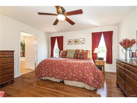 229 Magnolia Trace Dr, Ballwin, MO 63021 photo 20