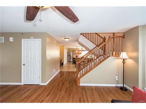 229 Magnolia Trace Dr, Ballwin, MO 63021 photo 12